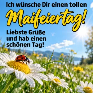 Marienkäfer auf einem Gänseblümchen in einer sonnigen Frühlingswiese mit Bergen und See, oben Wünsche für einen tollen Maifeiertag und liebste Grüße.