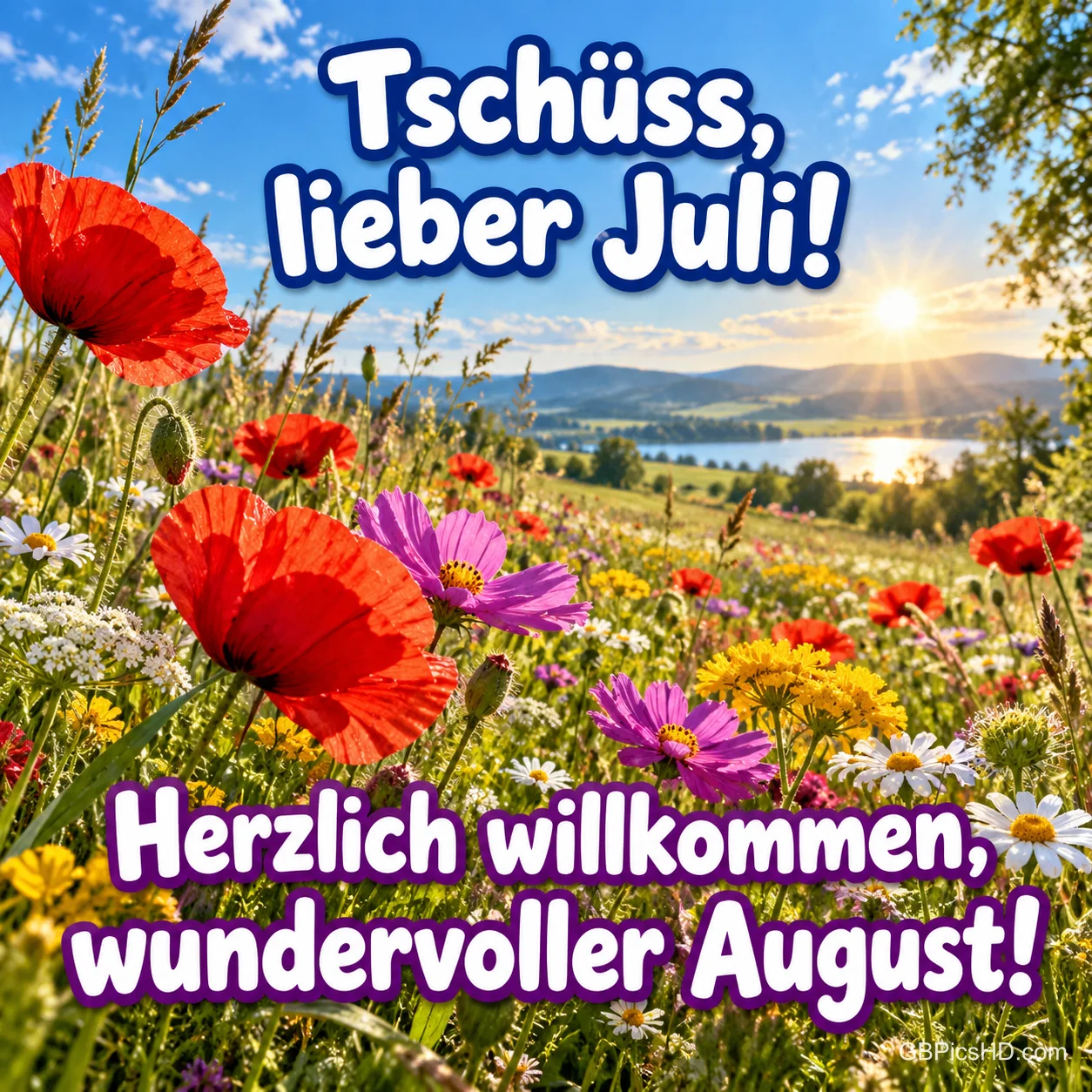 Eine sonnige Sommerwiese mit Mohn und Wildblumen über einem See, dazu "Tschüss, lieber Juli! Herzlich willkommen, wundervoller August!". Eine sonnige Sommerwiese mit Mohn und Wildblumen über einem See, dazu "Tschüss, lieber Juli! Herzlich willkommen, wundervoller August!".