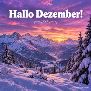 Verschneites Bergtal mit Tannen unter einem leuchtend lila und rosa Himmel bei Sonnenuntergang, oben der Schriftzug "Hallo Dezember!" mit Zierlinie.