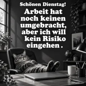 Eine Katze liegt entspannt im Bürostuhl hinter einem Schreibtisch mit Laptop und Tasse; darüber steht "Schönen Dienstag!".