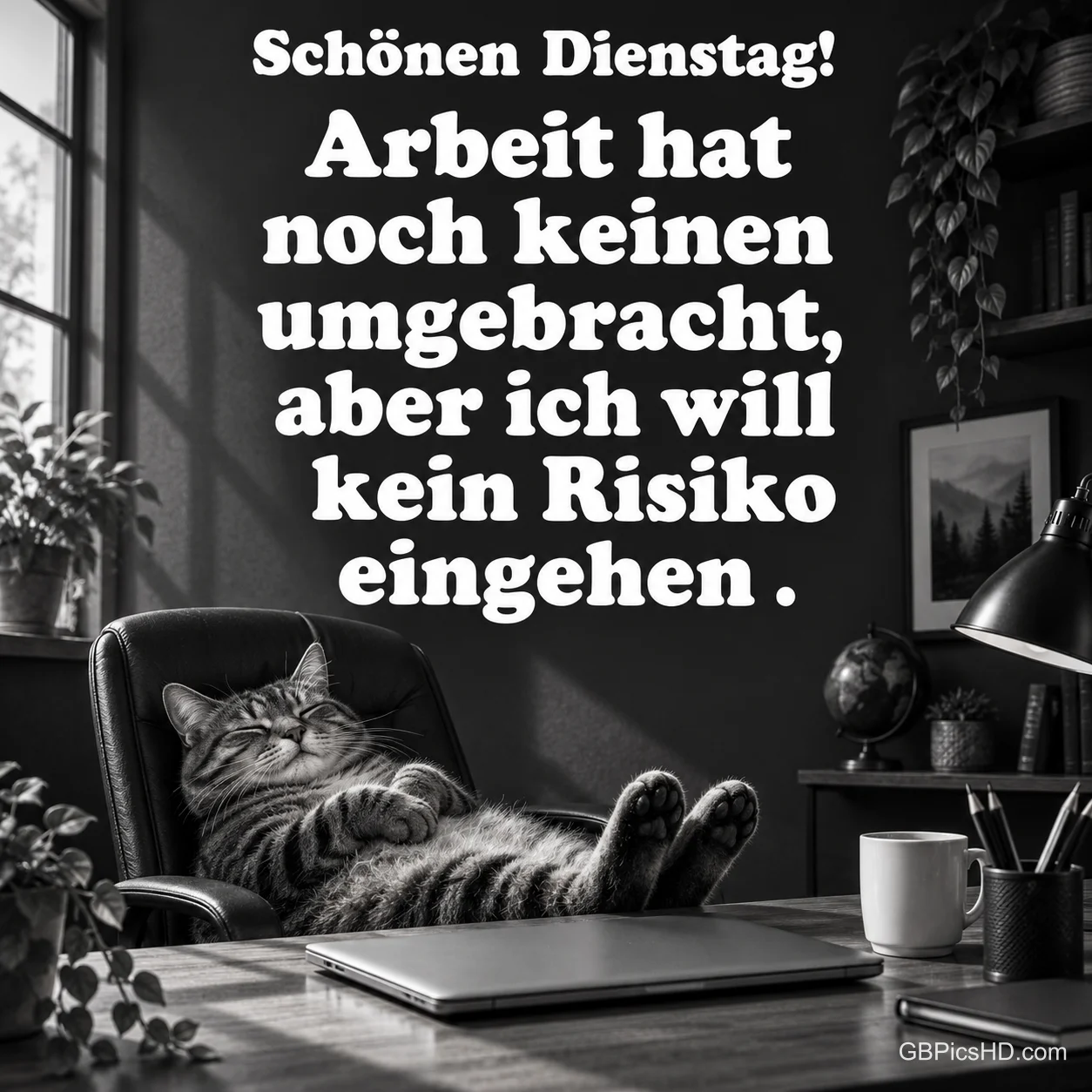 Eine Katze liegt entspannt im Bürostuhl hinter einem Schreibtisch mit Laptop und Tasse; darüber steht "Schönen Dienstag!".