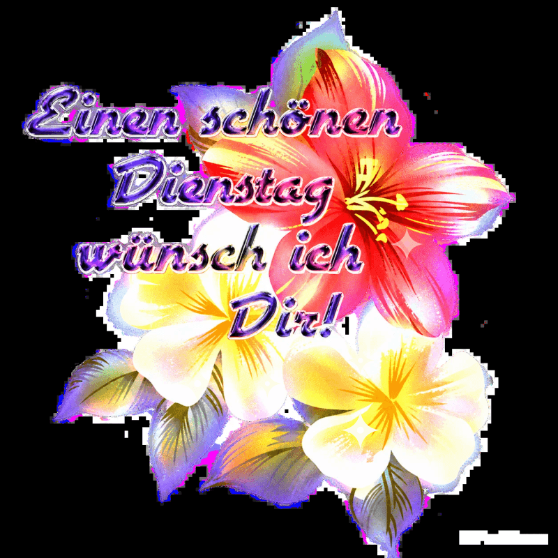 Farbenfrohe Lilien in Rosa, Gelb und Weiß mit Grüße für einen schönen Dienstag.
