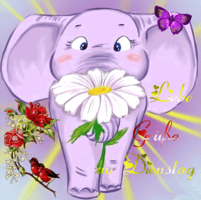 Niedlicher lila Elefant mit Blume, Rosen, Vogel und Schmetterling als Gruß zum Dienstag. Niedlicher lila Elefant mit Blume, Rosen, Vogel und Schmetterling als Gruß zum Dienstag.