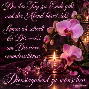 Rosa Orchideen und eine brennende Kerze begleiten den Wunsch "einen wunderschönen Dienstagabend".