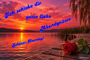 Eine rote Rose liegt auf einem Holzsteg am See im orangefarbenen Sonnenuntergang, dazu "Schönen Dienstag!".