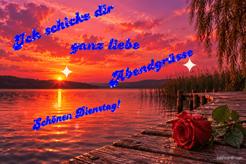 Eine rote Rose liegt auf einem Holzsteg am See im orangefarbenen Sonnenuntergang, dazu "Schönen Dienstag!". Eine rote Rose liegt auf einem Holzsteg am See im orangefarbenen Sonnenuntergang, dazu "Schönen Dienstag!".