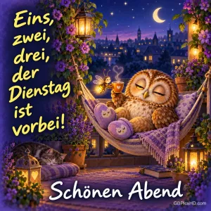 Eine Eule mit Tasse und Hausschuhen ruht in einer Hängematte zwischen Blumen und Laternen unter dem Mond, dazu "Schönen Abend".