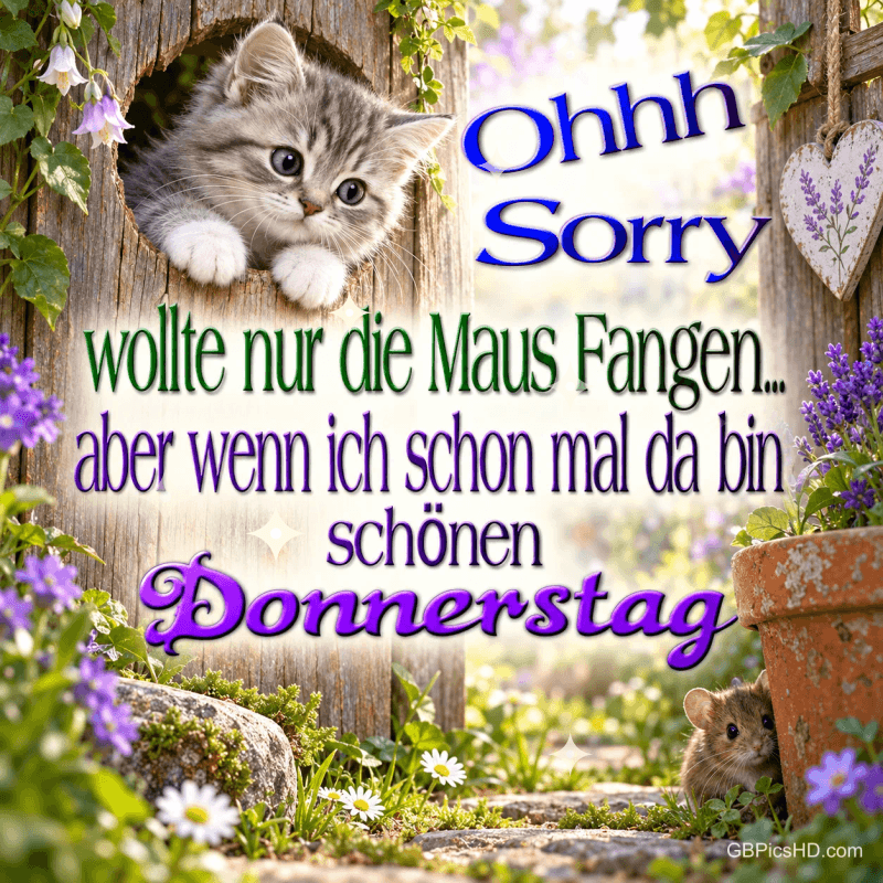 Kätzchen und Maus am Gartentor: "Ohhh Sorry wollte nur die Maus fangen... aber wenn ich schon mal da bin schönen Donnerstag".