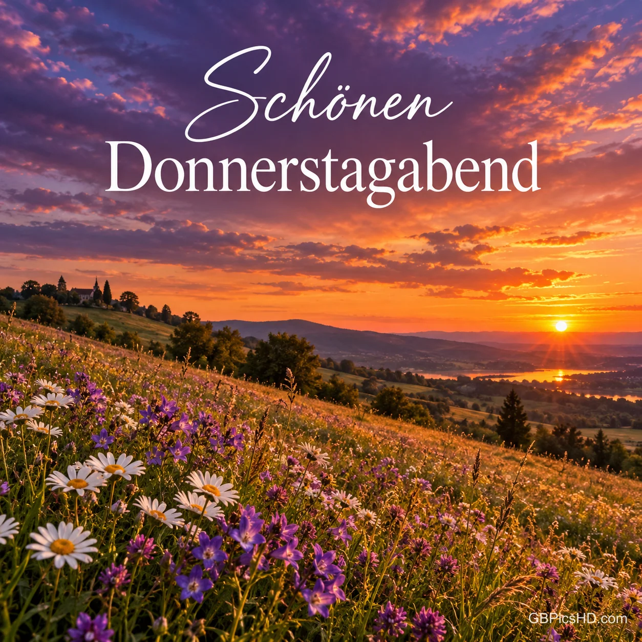 Bunter Sonnenuntergang über einer hügeligen Wiese voller Margeriten und lila Wildblumen mit dem eleganten Schriftzug "Schönen Donnerstagabend"