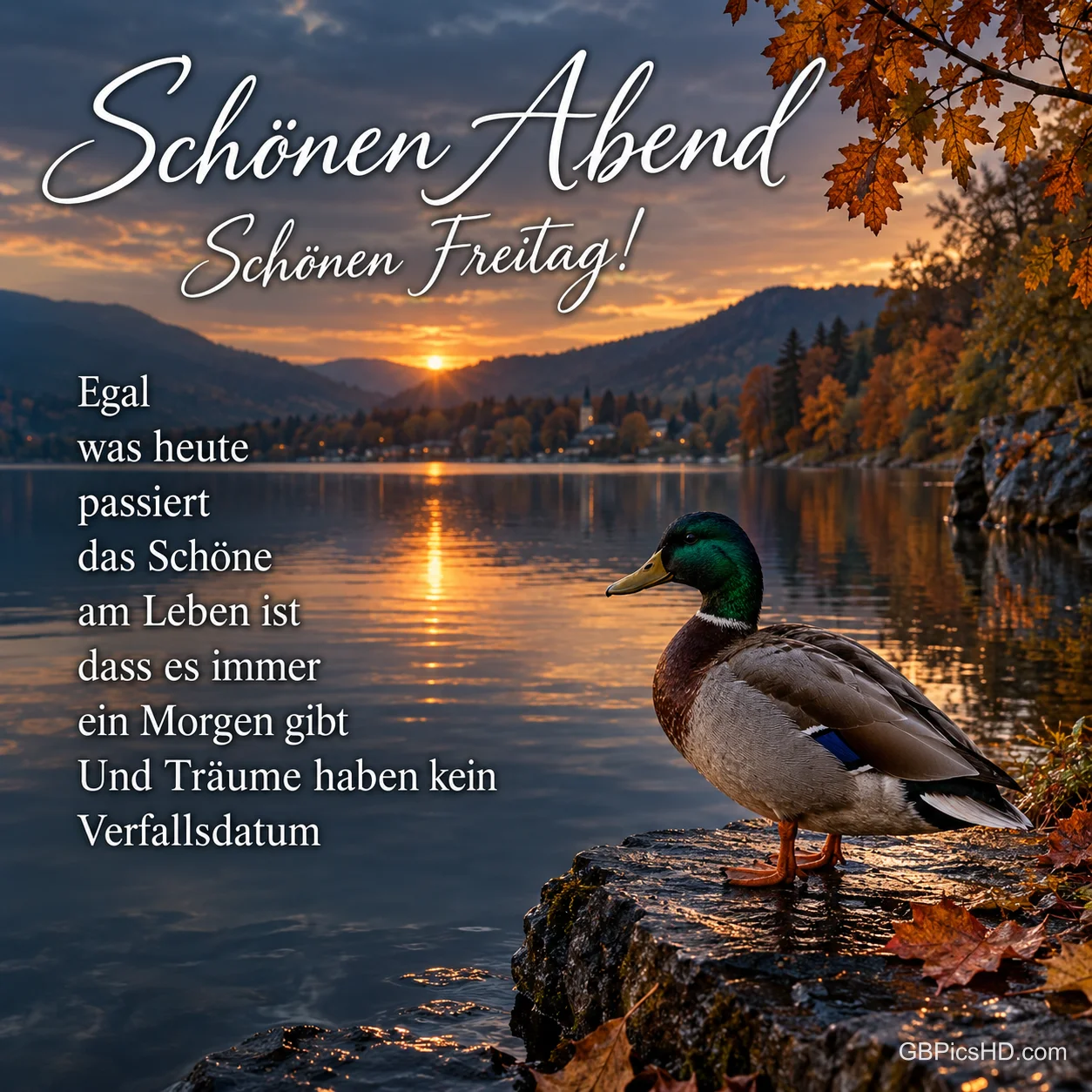 Eine Ente steht am herbstlichen See bei Sonnenuntergang mit "Schönen Abend" und "Schönen Freitag!". Eine Ente steht am herbstlichen See bei Sonnenuntergang mit "Schönen Abend" und "Schönen Freitag!".