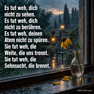 Regennasses Fenster am Abend mit einer welkenden gelben Blume in einer Glasvase, daneben der Text "Es tut weh, dich nicht zu sehen" über Sehnsucht und Trennung