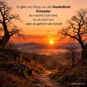 Sonnenaufgang über nebligen Hügeln, ein Waldweg zwischen knorrigen kahlen Bäumen führt ins Licht, darüber der Spruch über zwei Wege aus der Dunkelheit