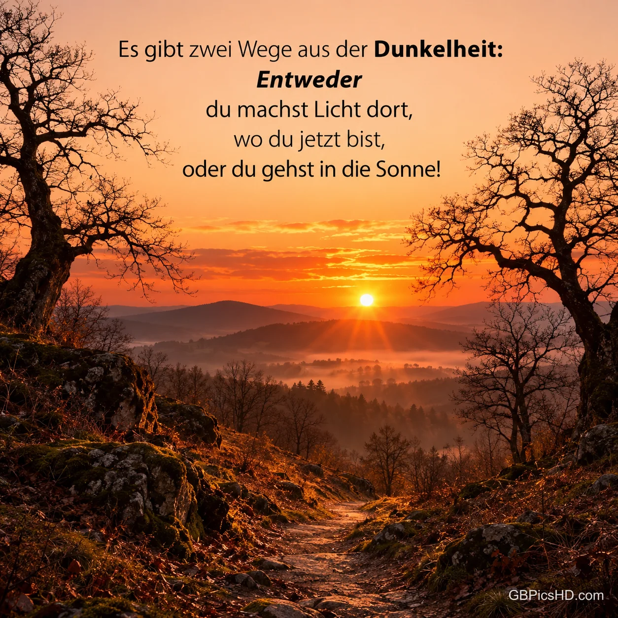 Sonnenaufgang über nebligen Hügeln, ein Waldweg zwischen knorrigen kahlen Bäumen führt ins Licht, darüber der Spruch über zwei Wege aus der Dunkelheit Sonnenaufgang über nebligen Hügeln, ein Waldweg zwischen knorrigen kahlen Bäumen führt ins Licht, darüber der Spruch über zwei Wege aus der Dunkelheit