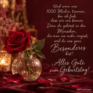 Eine rote Rose steht in einer runden Glasvase auf rotem Samt neben dem Gruß "Alles Gute zum Geburtstag!".