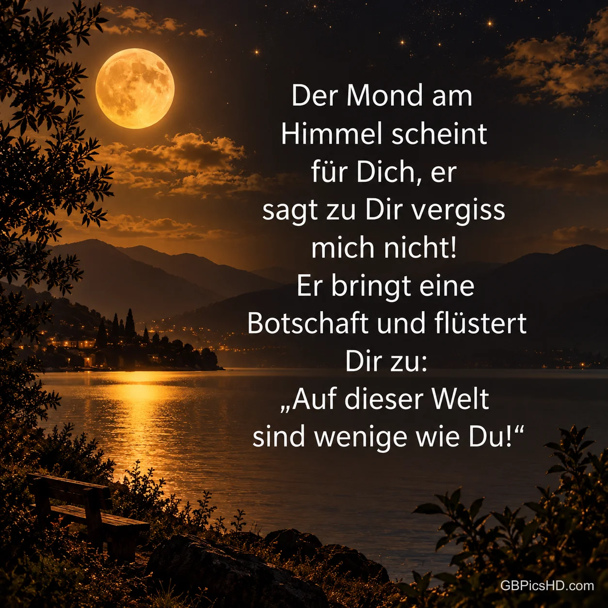 Ein goldener Vollmond spiegelt sich im See zwischen Bergen, Bäumen und einer Bank: "Auf dieser Welt sind wenige wie Du!".