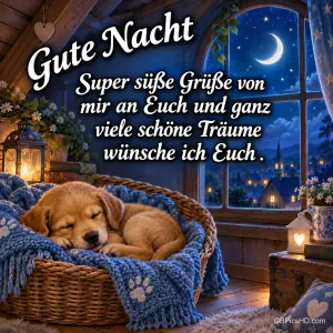 Ein Welpe schläft auf einer blauen Decke im Weidenkorb vor einem Fenster mit Mondsichel, darüber steht "Gute Nacht".