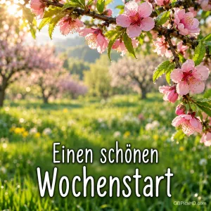 Rosa Blütenzweig über einem sonnigen Obstgarten im Frühling mit dem Schriftzug "Einen schönen Wochenstart"