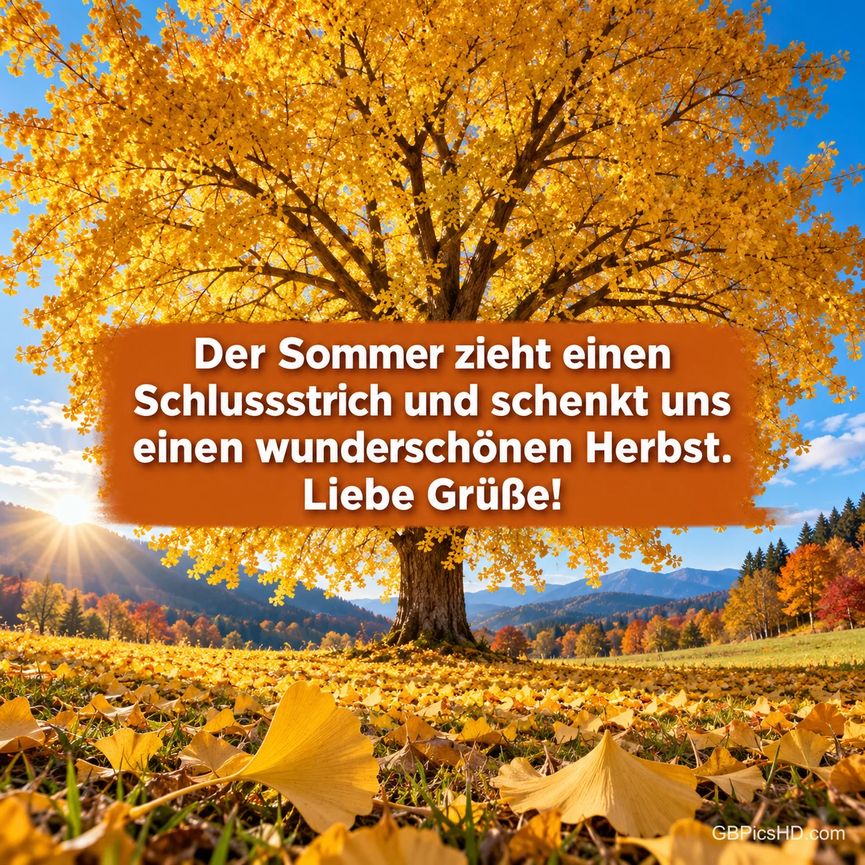 Ein mächtiger Baum mit goldgelbem Laub auf einer Wiese voller Blätter unter blauem Himmel, darüber ein Spruch zum Ende des Sommers mit lieben Grüßen Ein mächtiger Baum mit goldgelbem Laub auf einer Wiese voller Blätter unter blauem Himmel, darüber ein Spruch zum Ende des Sommers mit lieben Grüßen
