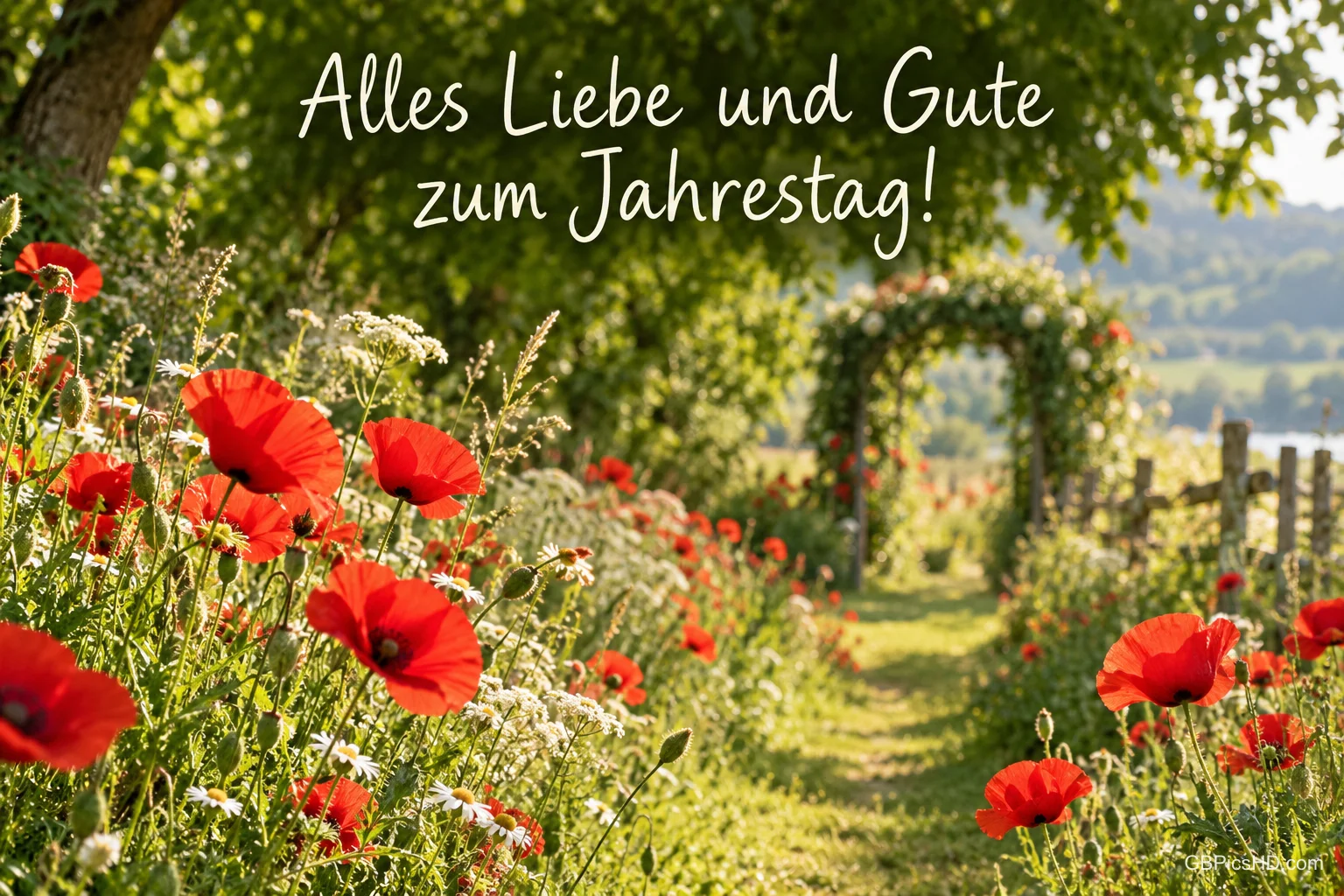 Rote Mohnblumen säumen einen Gartenweg unter dem Gruß "Alles Liebe und Gute zum Jahrestag!".