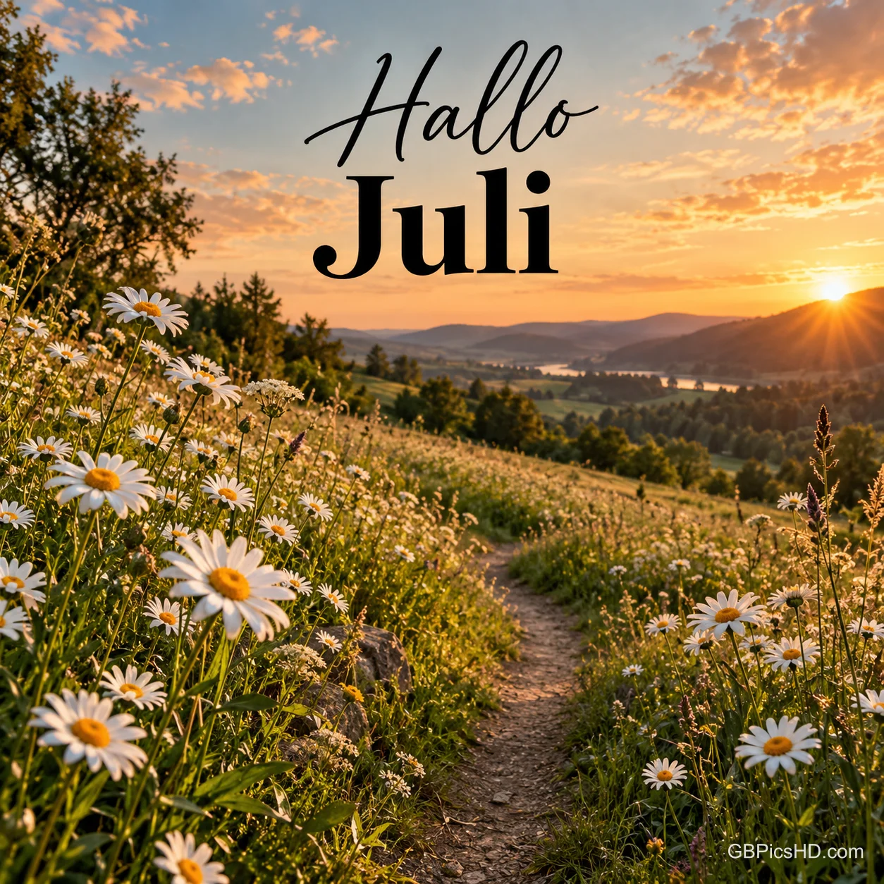 Feldweg durch eine Wiese voller Margeriten und Gräser im warmen Licht der untergehenden Sonne über Hügeln, oben der Gruß Hallo Juli. Feldweg durch eine Wiese voller Margeriten und Gräser im warmen Licht der untergehenden Sonne über Hügeln, oben der Gruß Hallo Juli.