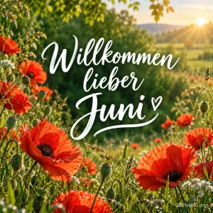 Rote Mohnblumen auf einer Sommerwiese im Gegenlicht mit dem geschwungenen Schriftzug "Willkommen lieber Juni" und einem kleinen Herz.