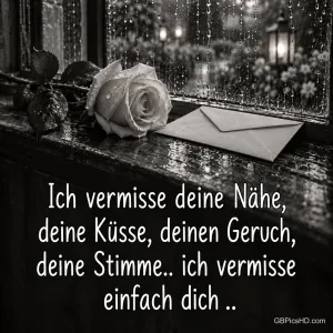Eine weiße Rose und ein Briefumschlag liegen am regennassen Fenster in Schwarz-Weiß mit "Ich vermisse deine Nähe".