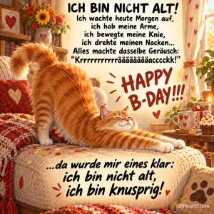 Ein orangefarbener Kater streckt sich auf einem Sessel neben dem Spruch "Ich bin nicht alt, ich bin knusprig!".