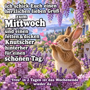 Ein Hase pustet rosa Herzen zwischen blühendem Flieder und Lavendel vor einem Seeufer, dazu ein herzlicher Gruß zum Mittwoch mit Vorfreude aufs Wochenende
