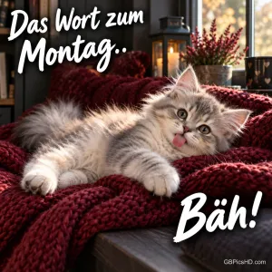 Ein flauschiges Kätzchen liegt mit herausgestreckter Zunge auf einer dunkelroten Decke; dazu steht "Das Wort zum Montag.. Bäh!".