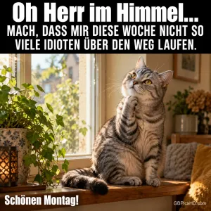 Eine getigerte Katze hebt am sonnigen Fenster eine Pfote: "Oh Herr im Himmel..." und "Schönen Montag!".