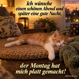 Eine orange-weiße Katze schläft bei warmem Kerzenlicht auf einem Flechtkissen: "Der Montag hat mich platt gemacht!"