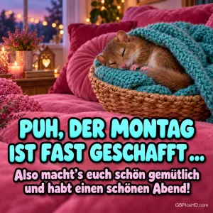 Kleine Maus schläft eingekuschelt unter einer türkisen Strickdecke in einem Korb auf pinken Kissen, dazu "Puh, der Montag ist fast geschafft…" und ein Gute-Abend-Wunsch