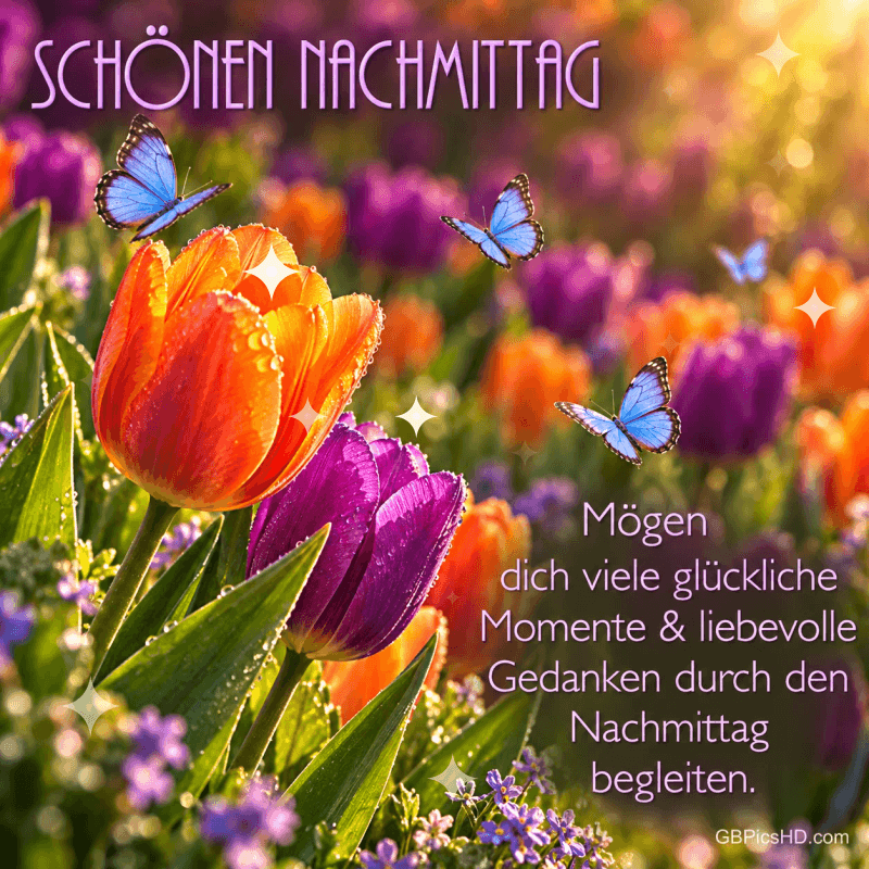 Tulpen und Falter mit "Schönen Nachmittag Mögen dich viele glückliche Momente & liebevolle Gedanken durch den Nachmittag begleiten.". Tulpen und Falter mit "Schönen Nachmittag Mögen dich viele glückliche Momente & liebevolle Gedanken durch den Nachmittag begleiten.".