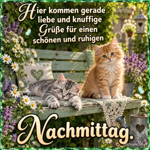 Zwei Kätzchen auf einer Gartenbank mit "Hier kommen gerade liebe und knuffige Grüße für einen schönen und ruhigen Nachmittag."