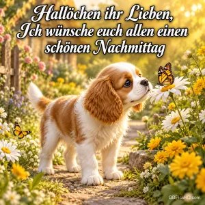Ein braun-weißer Welpe betrachtet einen Schmetterling auf einer Blüte mit "Hallöchen ihr Lieben, ich wünsche euch allen einen schönen Nachmittag".