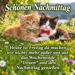 Zwei Kätzchen mit grüner und roter Fliege liegen zwischen Gänseblümchen im Gras unter "Schönen Nachmittag".