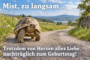 Eine Schildkröte läuft auf einem Feldweg zwischen Wiesen unter dem Gruß "Mist, zu langsam ...".