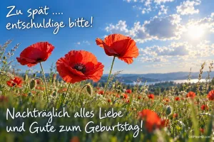 Rote Mohnblumen unter blauem Himmel mit "Zu spät .... entschuldige bitte! Nachträglich alles Liebe und Gute zum Geburtstag!".