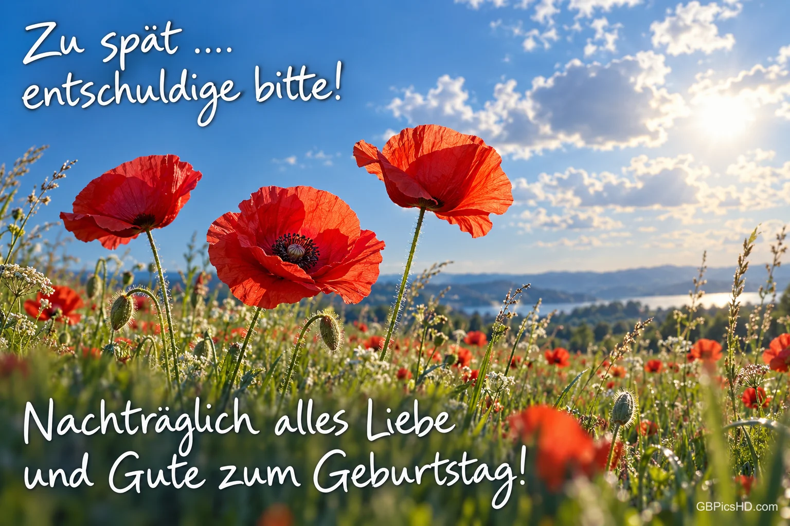 Rote Mohnblumen unter blauem Himmel mit "Zu spät .... entschuldige bitte! Nachträglich alles Liebe und Gute zum Geburtstag!". Rote Mohnblumen unter blauem Himmel mit "Zu spät .... entschuldige bitte! Nachträglich alles Liebe und Gute zum Geburtstag!".