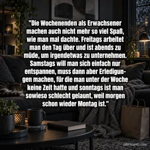 Katze, Decke und Tasse im dunklen Wohnzimmer begleiten den Spruch "Die Wochenenden als Erwachsener".