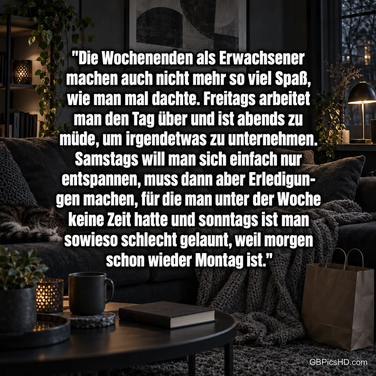 Katze, Decke und Tasse im dunklen Wohnzimmer begleiten den Spruch "Die Wochenenden als Erwachsener". Katze, Decke und Tasse im dunklen Wohnzimmer begleiten den Spruch "Die Wochenenden als Erwachsener".