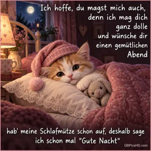 Ein Kätzchen mit rosa Schlafmütze liegt neben einem Stoffhasen unter einer rosa Decke im Bett, dazu "Gute Nacht".