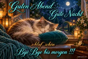 Eine Katze schläft auf einem türkisfarbenen Kissen am Fenster zwischen Laternen; dort steht "Guten Abend Gute Nacht".