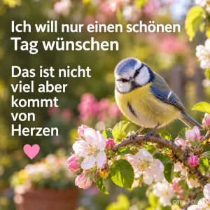 Eine Blaumeise auf einem Blütenzweig mit "Ich will nur schönen Tag wünschen Das ist nicht viel aber kommt von Herzen".