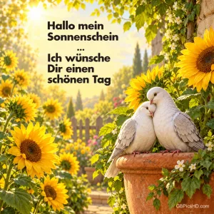 Zwei weiße Tauben kuscheln zwischen Sonnenblumen neben "Hallo mein Sonnenschein ... Ich wünsche Dir einen schönen Tag".