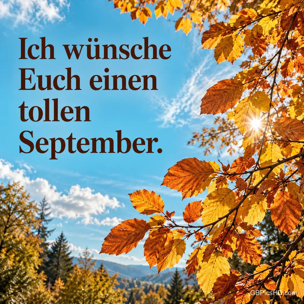 Goldgelbe Herbstblätter vor blauem Himmel mit dem Text "Ich wünsche Euch einen tollen September." Goldgelbe Herbstblätter vor blauem Himmel mit dem Text "Ich wünsche Euch einen tollen September."