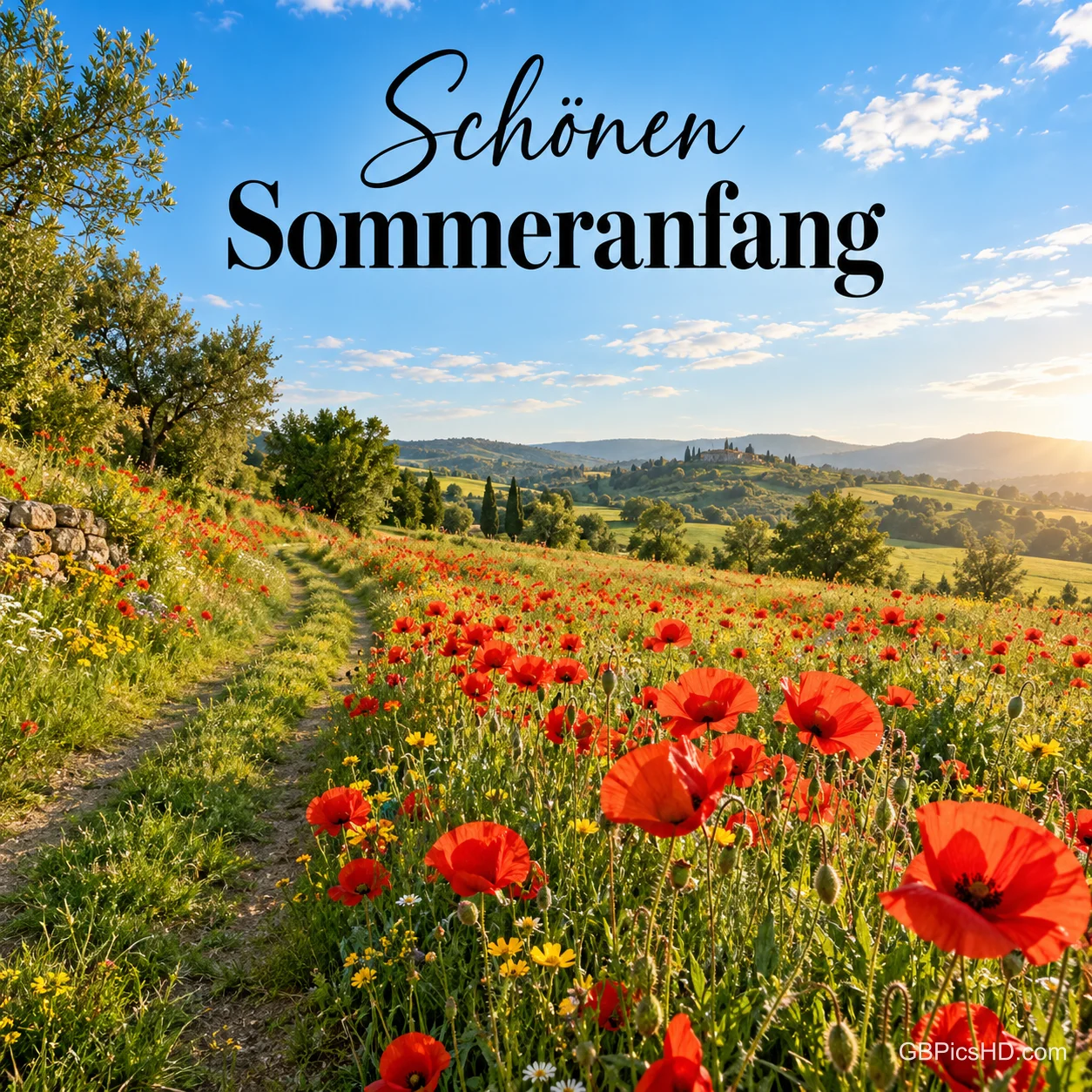 Ein sonniges Mohnblumenfeld mit Feldweg und Hügellandschaft unter blauem Himmel mit dem Gruß "Schönen Sommeranfang". Ein sonniges Mohnblumenfeld mit Feldweg und Hügellandschaft unter blauem Himmel mit dem Gruß "Schönen Sommeranfang".