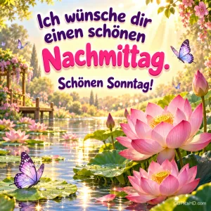 Rosa Lotusblüten und violette Schmetterlinge am Teich mit "Ich wünsche dir einen schönen Nachmittag. Schönen Sonntag!".
