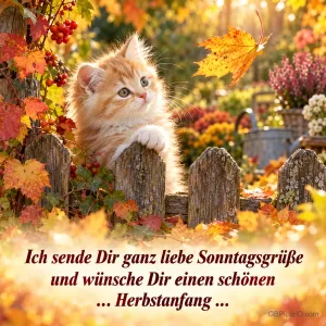Ein orangefarbenes Kätzchen am Holzzaun betrachtet ein Herbstblatt, dazu "Ich sende Dir ganz liebe Sonntagsgrüße".
