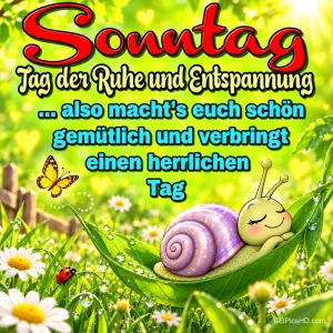 Eine Schnecke ruht auf einem Blatt zwischen Blumen, Schmetterling und Marienkäfer, dazu "Sonntag Tag der Ruhe und Entspannung".